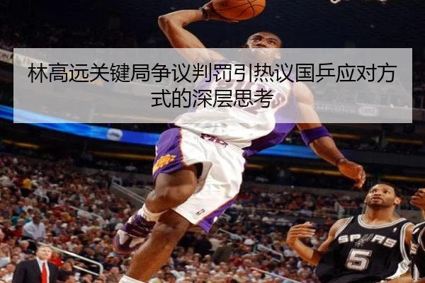 林高远关键局争议判罚引热议国乒应对方式的深层思考